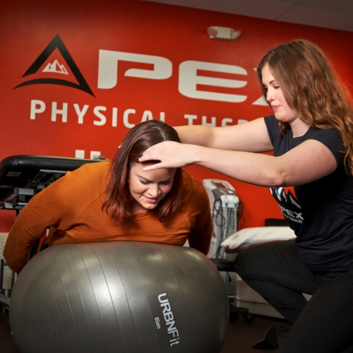 Back-Pain-Bootcamp-APEX-Physical-Therapy-Brighton-Farmington-Hills-MI